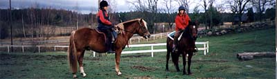 ridning_bred_bild_7.jpg (18041 bytes)