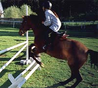ridning_hopp_8.jpg (23542 bytes)